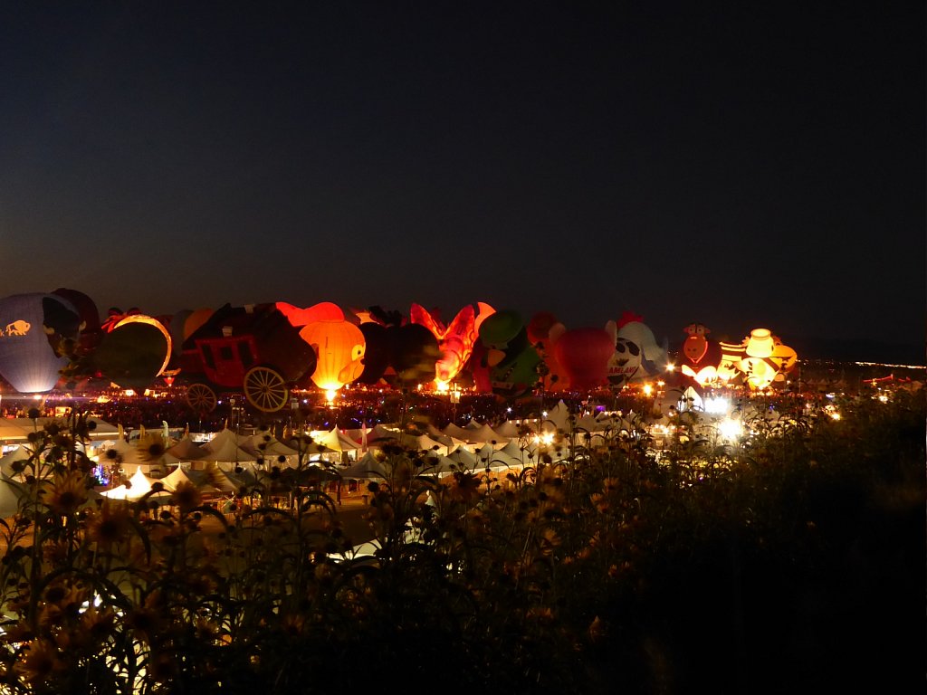 P1010493.JPG