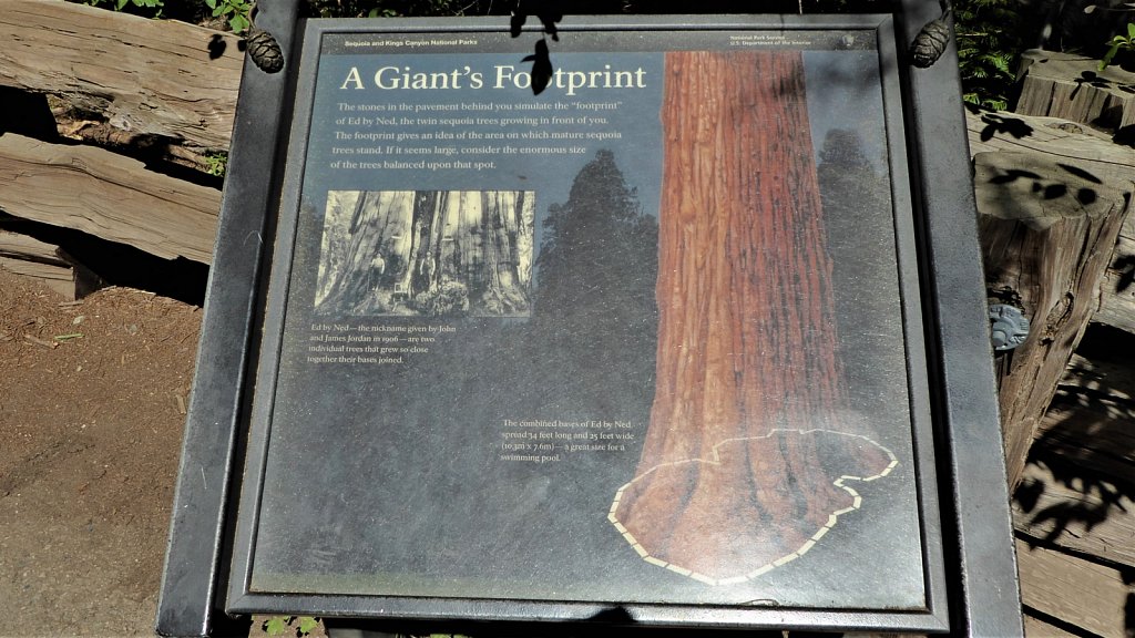 Sequoia-National-Park-077.JPG