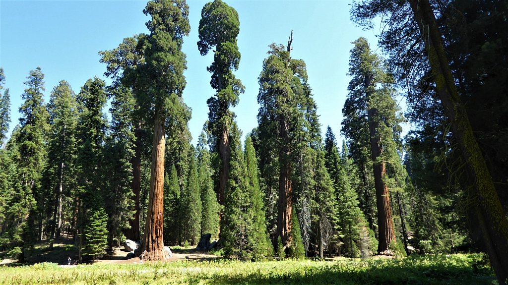 Sequoia-National-Park-082.JPG