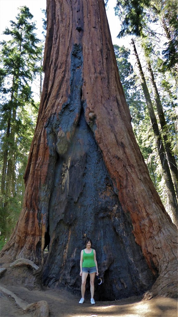 Sequoia-National-Park-089.JPG