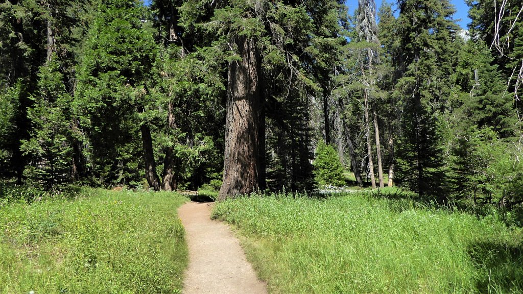 Sequoia-National-Park-041.JPG