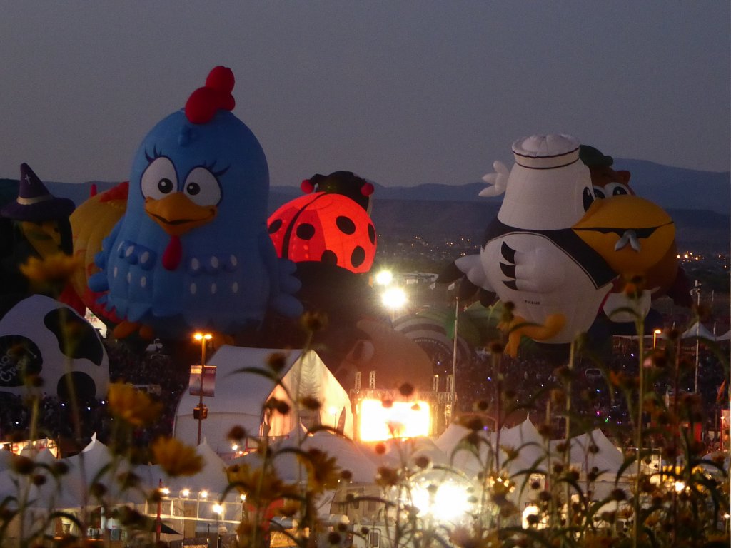 P1010484.JPG