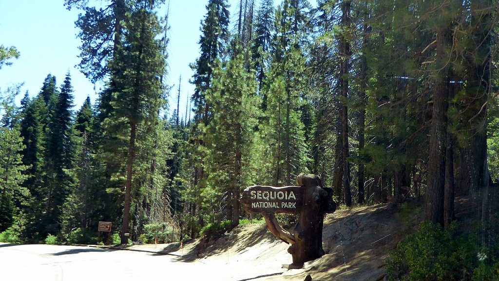 Sequoia-National-Park-015.JPG