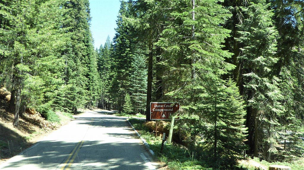 Sequoia-National-Park-016.JPG