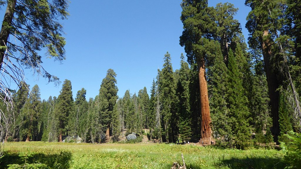 Sequoia-National-Park-079.JPG