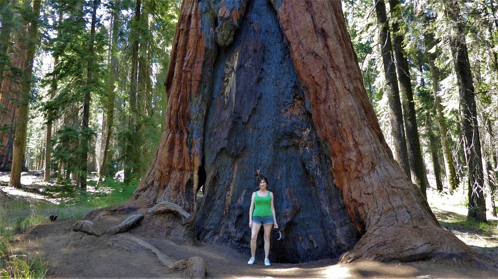 Sequoia-National-Park-088.JPG