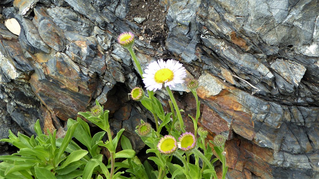 P1100242.JPG