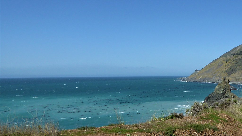 P1100315.JPG