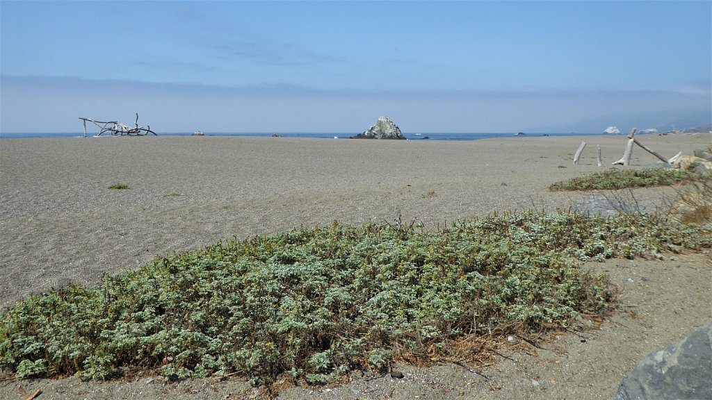 P1100842.JPG
