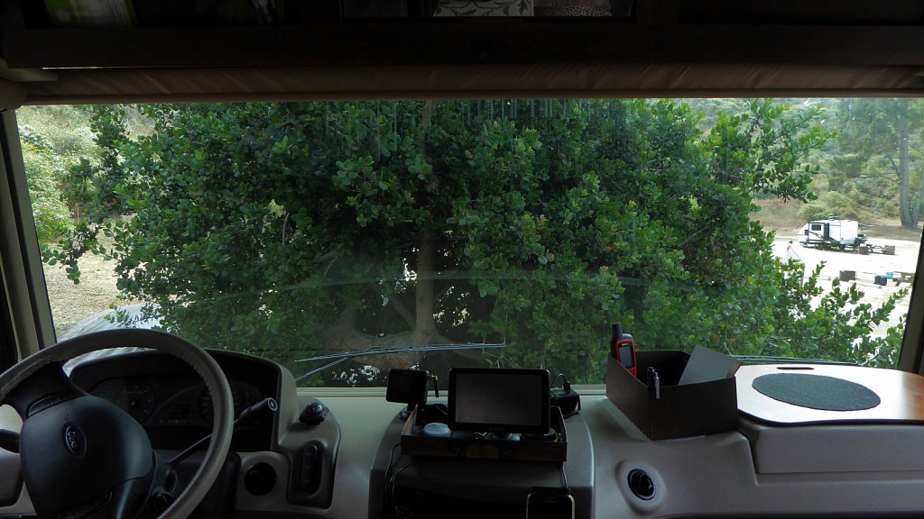 P1100884.JPG