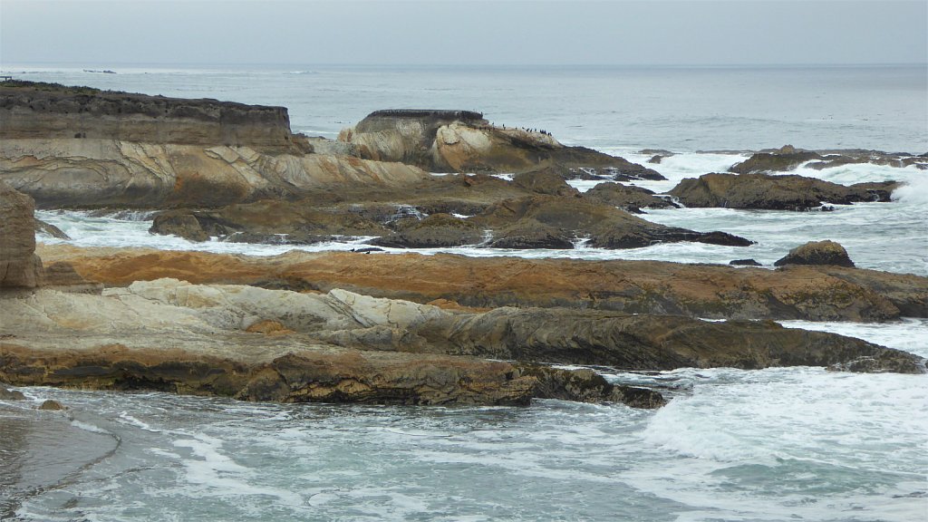 P1100915.JPG