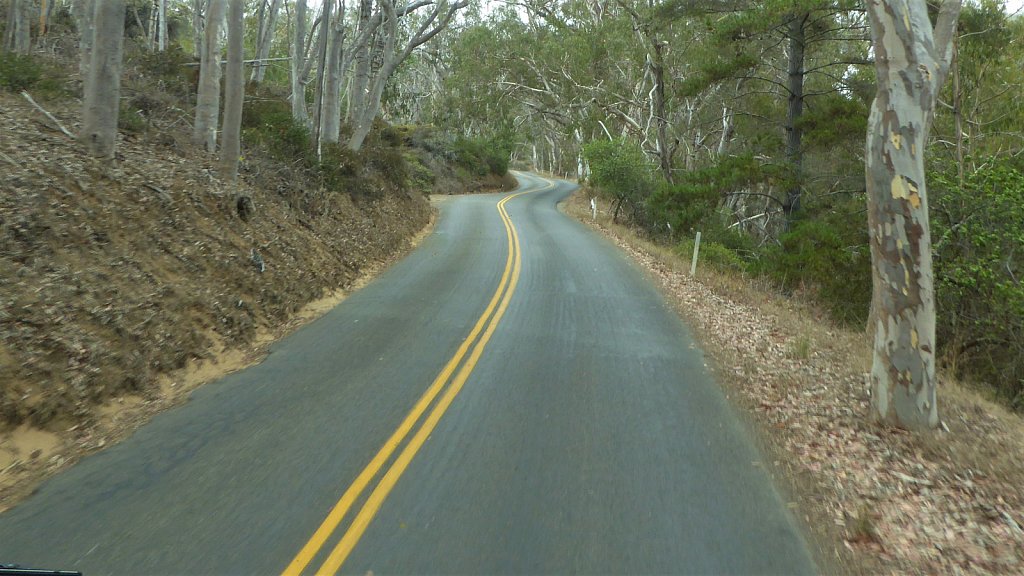 P1100947.JPG