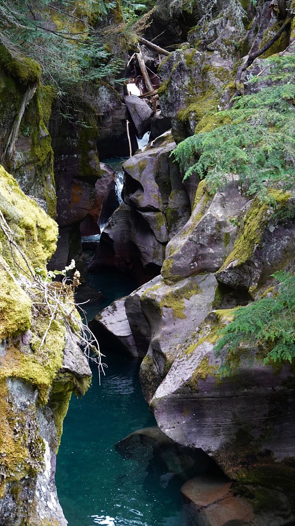 RV-Trip-2022-MT-WA-OR-191.JPG