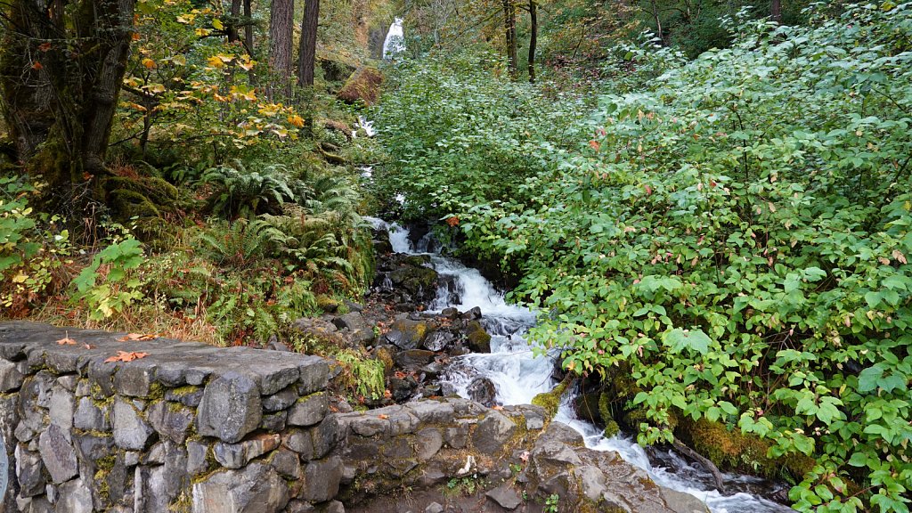 RV-Trip-2022-MT-WA-OR-365.JPG